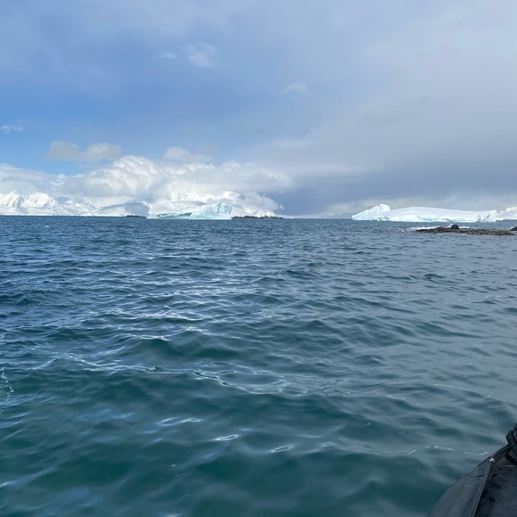 Meet your Posher, Gayle - Picture 1 of 1